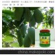 沙布列藍(lán)莓果醬/優(yōu)質(zhì)果醬/批發(fā)/奶茶原料/開奶茶店
