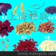 廠家直銷 GLFS-100g 飛馬咖啡機