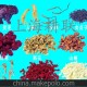 廠家直銷 GLFS-100g 原汁機榨汁機