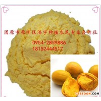 蛋黃果粉 蛋黃果速溶粉 臺灣雞蛋果純粉 全水溶 獅頭果粉 水溶獅頭果粉