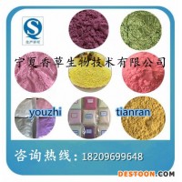 橙子粉廠家直銷  廠家供應香橙濃縮汁粉150目  橙子原漿批發(fā)價格