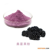 匯能達 桑葚果粉 桑葚濃縮粉 水溶性桑葚濃縮汁 桑葚提取物