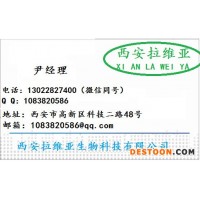 供應(yīng)食品級(jí)奇異果粉末香精廠家  奇異果粉末香精生產(chǎn)廠家