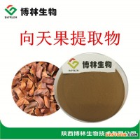 所羅門向天果提取物10:1 優(yōu)質(zhì)向天果粉 向天果的價(jià)格