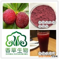 楊梅提取物生產廠家 供應楊梅果粉 濃縮汁粉 楊梅原漿現(xiàn)貨