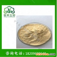 檸檬粉飲品原料  廠家供應(yīng)檸檬濃縮汁粉水溶型 益母果速溶粉130目