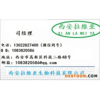 食品級芒果香精生產(chǎn)直銷 食用江大芒果粉末香精價格優(yōu)惠