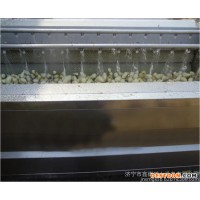 鑫煤土豆清洗去皮機 土豆清洗去皮機功能土豆清洗去皮機價格歡迎訂購?fù)炼骨逑慈テC