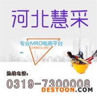 界用電動絞肉機(jī)價格,家用電動絞肉機(jī)廠家,
