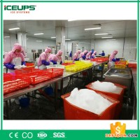 食品加工制冰機(jī) 日產(chǎn)量25噸 水產(chǎn)加工用制冰機(jī) 大型片冰機(jī) 制冰機(jī)