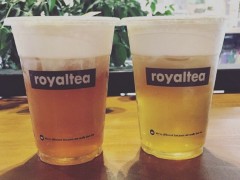 代理加盟皇茶奶茶怎么樣？