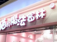 貓的魔法密林加盟6大核心優(yōu)勢，你值得擁有!
