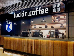 瑞幸咖啡加盟流程有哪些?