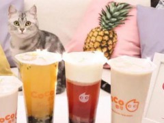 coco珍珠奶茶是招牌嗎？可以加盟coco嗎？