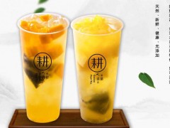 想賺錢？那就開(kāi)一家耕喜家寶島水果茶加盟店吧