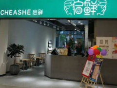 加盟開奶茶店就選啟鮮奶茶！