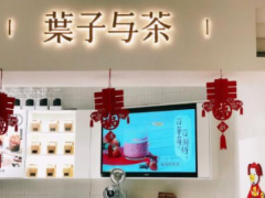 葉子與茶這個品牌加盟支持有哪些？