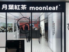 加盟月葉紅茶是什么條件？