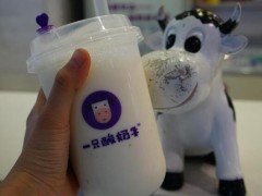 一只酸奶牛加盟費多少錢?盡然如此額劃算!