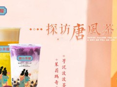 為什么宮水茶屋能快速立足于市場？