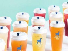 小鹿茶加盟費高不高?加盟利潤如何?
