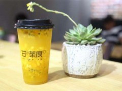甘茶度加盟怎么樣？茗茶原沏佼佼者！