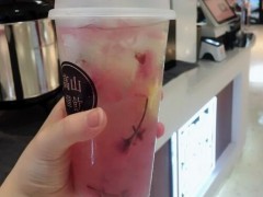 高山禪飲哪個好喝？高山禪飲加盟條件是什么？