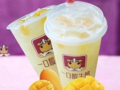 一口酸牛奶店能掙錢嗎？大連一口酸牛奶年入17.16萬元！【表】