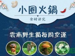 小圈火鍋加盟
