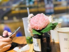 上飲の茶加盟怎么樣？開(kāi)一家上飲の茶成本多少錢(qián)？