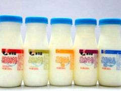左江水牛奶口碑怎樣？加盟有市場嗎？