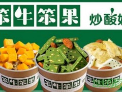笨牛笨果炒酸奶加盟費多少錢?6萬+2人開店_上門指導(dǎo)【表】