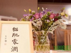 在杭州開一家喵匠貓咖館成本多少？4.8萬就能擼貓！【表】