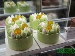 摩點(diǎn)蔓檸加盟費(fèi)多少?摩點(diǎn)蔓檸加盟怎么樣?