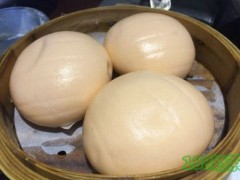 紫瑯春加盟