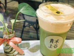 青禾上谷加盟怎么樣？青禾上谷加盟靠譜嗎？