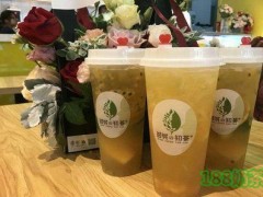 加盟傾城の初茶店前景如何？一年能賺多少錢？