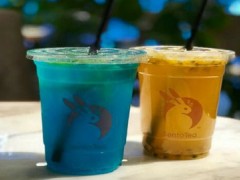 Sento Tea森兔加盟費(fèi)是多少？加盟條件有哪些？