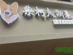 柴柯夫斯基柯基主題咖啡廳加盟好嗎？它的加盟條件高嗎？