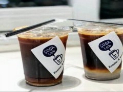 sogalab原來(lái)是實(shí)驗(yàn)室一年能賺多少？年利潤(rùn)至少35萬(wàn)！