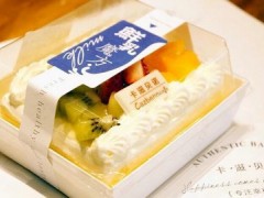 卡滋貝諾是哪里的牌子？卡滋貝諾加盟費多少錢？