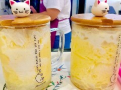 邂逅貓加盟費多少？邂逅貓機器設(shè)備貴嗎？