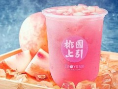 桃園上引怎么樣？廣州桃園上引奶茶地址！