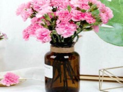 朵伶朵俐加盟費(fèi)是多少？二線城市開店不到18萬元！