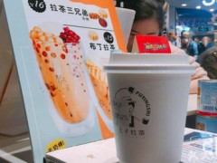 普盈士王子拉茶怎么樣？年利潤(rùn)高不高？