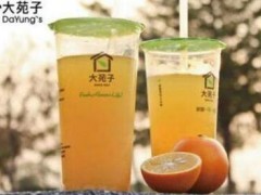大苑子茶飲大陸加盟店好不好？開大苑子奶茶加盟店優(yōu)勢如何？