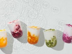 淺淺茶怎么樣？開一家淺淺茶加盟店需要多少錢？