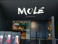 摩樂MOLE加盟怎么樣？為什么這么多人選擇摩樂MOLE加盟？