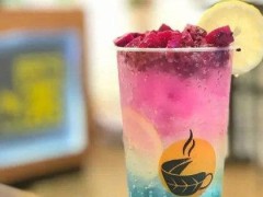 晉安蘇打小姐可以加盟嗎？蘇打小姐為什么被大家看好？
