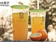 大苑子奶茶加盟政策有哪些？臺(tái)灣可以加盟大苑子奶茶嗎？